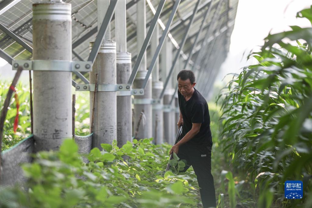 通博官方网址